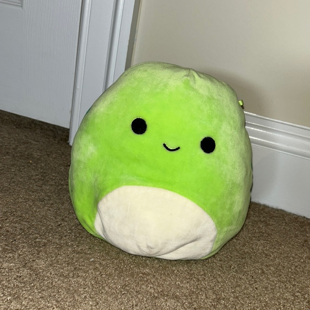 Henry the Turtle Squishmallow